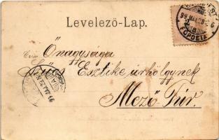 1899 (Vorläufer) Temesvár, Timisoara; Városi bérház. Moravetz Gyula kiadása / Städtisches Zins-Palai...