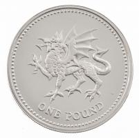 Nagy-Britannia 1995. 1P Ag "II. Erzsébet / Walesi sárkány" eredeti tokban (9.5g/0.925) T:P...