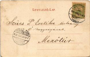 1904 Rimaszombat, Rimavská Sobota; Tompa Mihály szobor. Lévai Izsó kiadása / statue (EK)