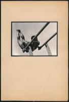 cca 1959 Thöresz Dezső (1902-1963) békéscsabai gyógyszerész és fotóművész hagyatékából  jelzés nélküli vintage fotó (tornász), ezüst zselatinos fotópapíron, 8x11 cm, karton 24x16 cm