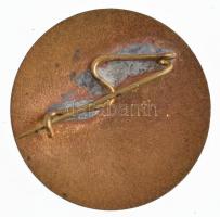 ~1950-1960."Kiváló Egészségügyi Nevelő Munkáért" aranyozott, zománcozott fém jelvény T:2 z...