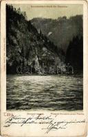 1908 Tátra, Tatry; Dunajeci hajózás, tutaj. Feitzinger Ede No. 357. 1902/12 / Przejazd Dunajcem przez Pieniny / Dunajecfahrt durch die Pieninen / rafting (EK)