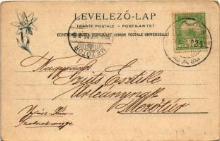 1908 Tátra, Tatry; Dunajeci hajózás, tutaj. Feitzinger Ede No. 357. 1902/12 / Przejazd Dunajcem prze...