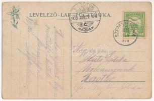 1908 Nedec, Niedzica (mai Lengyelország, Magas-Tátra); Nedecz vár. Feitzinger Ede No. 364. 1902/12 /...