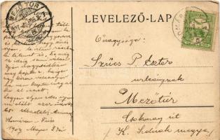 1904 Komárom, Komárno; látkép, Takarékpénztár, üzletek. Czike Dénes kiadása / general view, savings ...