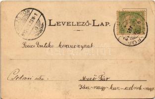 1903 Bártfafürdő, Bardejovské Kúpele, Bardiov, Bardejov; Gyógyterem, cukrászda. Divald Adolf 129. / ...