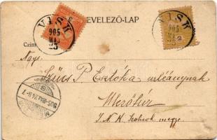 1905 Visk, Vyshkovo (Máramaros); Református templom és iskola. Katz H. kiadása / Calvinist church an...