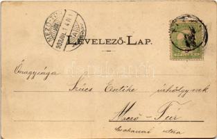 1902 Titel, Hajóhíd. Jankovits M. Lázár kiadása / pontoon bridge (fl)