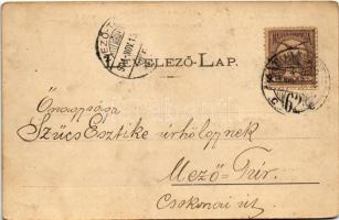 1901 Titel, Central szálloda, Fő utca, Polgári iskola, Kálvária hegy, Posta utca. Nonnenmacher Endre...