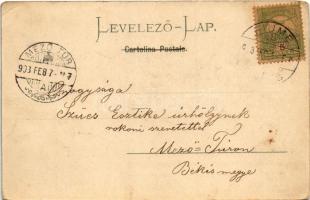 1903 Fiume, Rijeka; Via del Lido / port, steamship (EK)