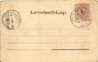 1899 (Vorläufer) Budapest XIII. Margitsziget, Margit forrás a szigeten. Kosmos litho s: Geiger R. (E...