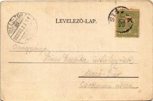 1902 Csobánc, vár. Kampmann H. kiadása (EK)