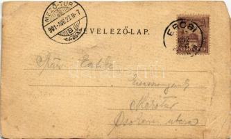 1900 Ercsi, látkép, gőzhajó. Déri János és Fia kiadása (vágott / cut)