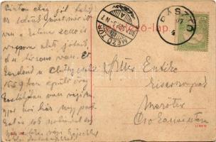 1907 Pásztó, Gróf Almássy kastély. W.L. (?) No. 966. (fa)