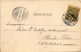 1904 Szarvas, Városi fürdő. Sámuel Adolf kiadása (EM)