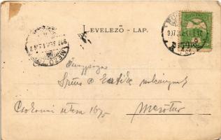 1907 Gödöllő, Felső park. Ripka F. "Gödöllő" című művéből (Rb)