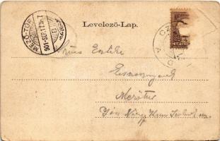 1901 Pécs, Püspöki líceum, üzletek. Domján J. kiadása. Szecessziós litho keret sassal (b)