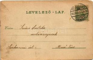 1902 Békéscsaba, Széchenyi liget (kis szakadás / small tear)