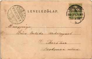 1902 Békéscsaba, Széchenyi kert. Corvina könyvkereskedés kiadása (EK)