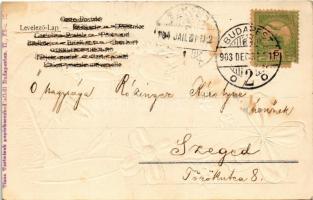 1903 Boldog Újévet! Tisza Testvérek kiadása / New Year greeting, Emb. litho