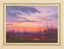 Deák B. Ferenc (1938-2004): Naplemente, 1992. Olaj, farost. Jelzett. Fakeretben. 40x55 cm.