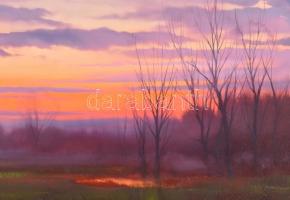 Deák B. Ferenc (1938-2004): Naplemente, 1992. Olaj, farost. Jelzett. Fakeretben. 40x55 cm