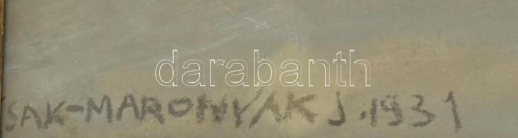 Csak-Maronyak jelzéssel: Táj. Pasztell, papír. Dekoratív, üvegezett, sérült fakeretben. 50x60 cm