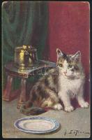 Nagy-Britannia 1907
