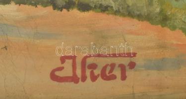 Olvashatatlan (Iker?) jelzéssel: Tavaszi táj. Olaj, karton. Üvegezett, kopott fakeretben. 48×38 cm