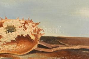 Dezső József (1935-1995): Napraforgók. Olaj, vászon, jelzett, hátoldalán Képcsarnok Vállalat címkéjé...