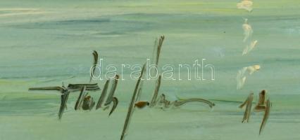 V. Tóth Gábor (1966-): Vitorlások a Tihanyi Apátság felől. Olaj, farost, jelzett, 40x60cm (Zsűri szá...