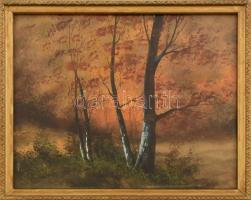 Jelzés nélkül: Őszi táj. Akvarell, papír. Dekoratív, üvegezett fakeretben, 24×29 cm.
