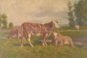 Olvashatatlan jelzéssel, feltehetően XX. sz. közepén működött magyar festő: Tehenek. Olaj, vászon. 5...