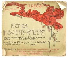 Képes növény atlasz 200 színes ábrával és magyarázó szöveggel Jólész Béla Shuberr rajzai nyomán 1912 kissé szakadozott papírborítóval