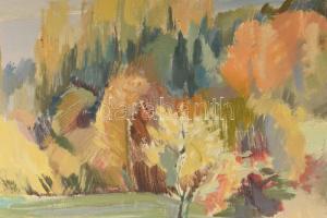 Vincze László (1934-2020): Dunakanyar. Olaj, vászon, jelezve jobbra lent, apró sérüléssel (benyomódá...