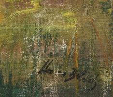 Olvashatatlan jelzéssel: Tájkép. Olaj, vászon, kopott, sérült fakeretben, 41x63cm