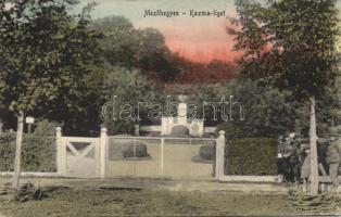 Mezőhegyes kozma liget