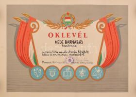 1960 Szocialista nevelésért kiadott díszes oklevél tanár részére