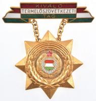 ~1970. Kiváló Termelőszövetkezeti Tag zománcozott, aranyozott bronz kitüntetés T:2