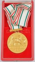 Gáll Gyula (1939-) 1965. Universiade 1965 aranyozott bronz atlétikai díjérem nyakszalagon, eredeti tokban (70mm) T:2 kis ph., kis ü.