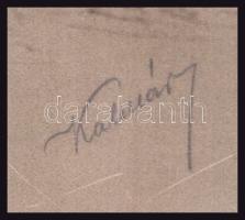 cca 1916 k.u.k. Kriegsmarine haditengerész trópusi egyenruhában. Kalmár jelzésű nagyméretű kartonált...