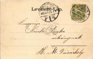 1902 Zombor, Sombor; Kis szerb templom utca. Schön Adolf kiadása / street view, Serbian Orthodox chu...