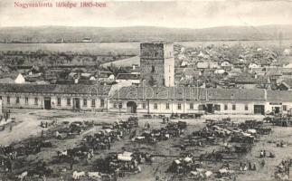 Nagyszalonta in  1885 (b)