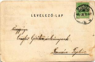 1900 Horgos, Kamaráserdő; Brauswetter villa / villa (EM)