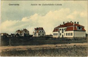 1914 Cservenka, Crvenka; Ansicht der Zuckerfabriks-Colonie / Cukorgyári kolónia / sugar factory, colony