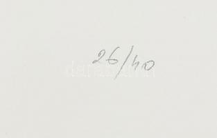 Hetey Katalin (1924-2010): Geometrikus kompozíció. Szitanyomat, papír. Jelzett. Számozott (26/40). L...