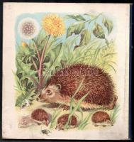 2db régi képes mesekönyv, Nelson: Animal Pictures, R. Engelhardt: Bekante vom Lande