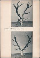 Szántó Gábor: A szép tájú Somogy. Kaposvár, 1978., Somogy M. Tanács V.B. Mezőgazdasági Osztálya. Fek...