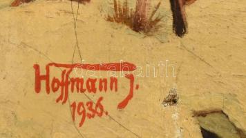 Hofmann jelzéssel: Őszi erdő. Olaj, vászon, 56x37 cm