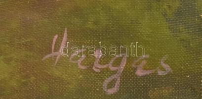 Hargas jelzéssel: Hegy. Olaj, vászon, 50x60cm